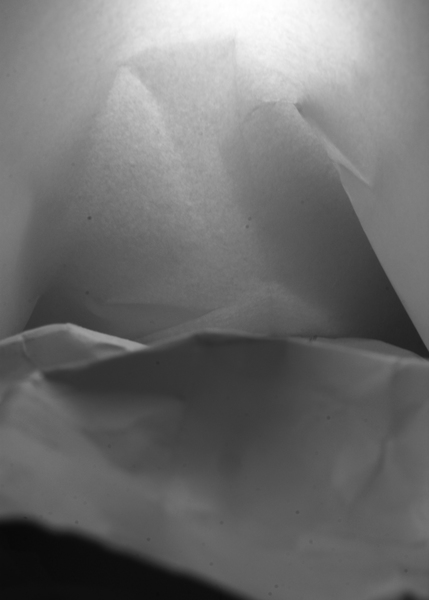 Papiermodell 2 / Prozessbild