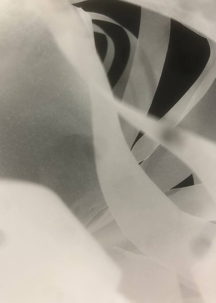Papiermodell 2 / Prozessbild