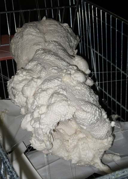 Papiermodell 2 / Prozessbild